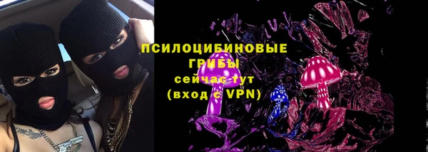 тгк Пересвет