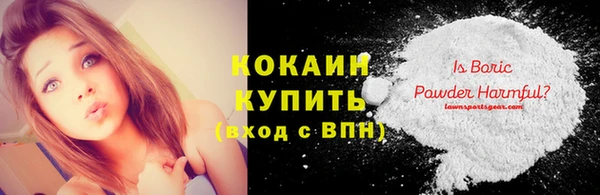 тгк Пересвет