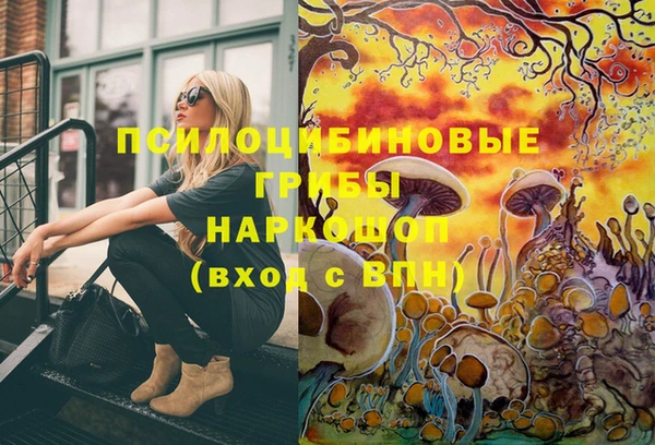 тгк Пересвет