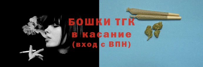 тгк Пересвет