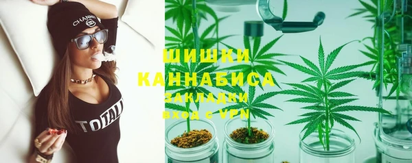 тгк Пересвет