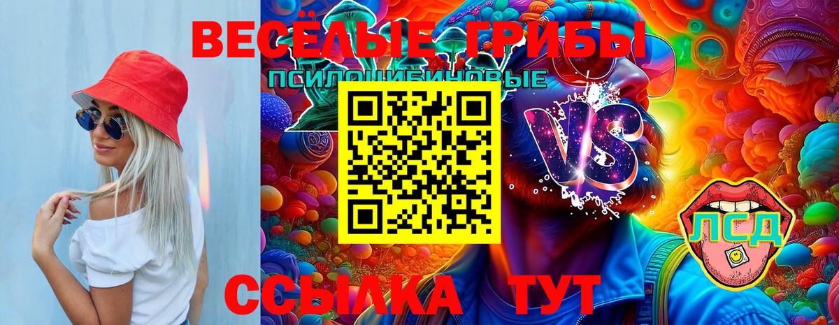 где купить   Галлюциногенные грибы Magic Shrooms  Вход с VPN  Краснокамск 